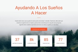 Creador De Sitios Web Exclusivo Para Contador Ayudando A Los Sueños A Hacer