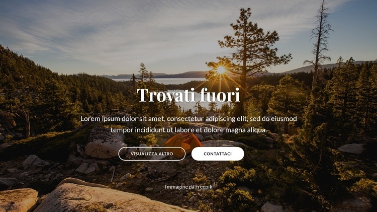 Trovati fuori Modelli di Website Builder