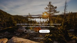 Trovati Fuori Modello CSS Semplice