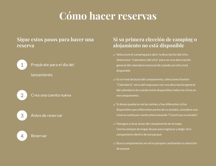 Cómo hacer reservas Maqueta de sitio web