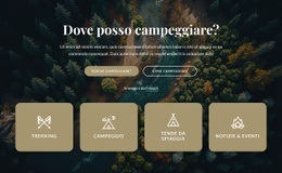 Progettazione Di Siti Web Informazioni Sul Nostro Campeggio Per Qualsiasi Dispositivo