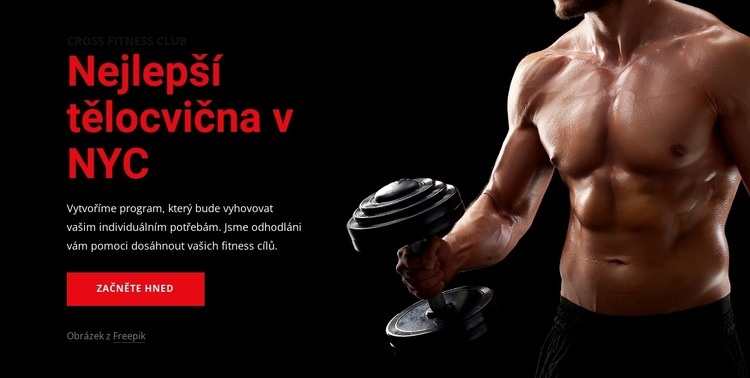 Vítejte v Crossfit gymu Šablona CSS