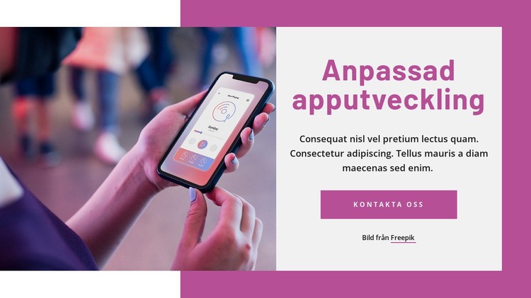 Anpassad apputveckling WordPress -tema