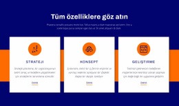 Tüm Özelliklere Göz Atın - Kullanımı Kolay Web Sitesi Modeli