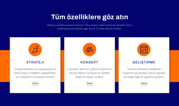 Tüm Özelliklere Göz Atın - Web Sitesi Tasarım Şablonu