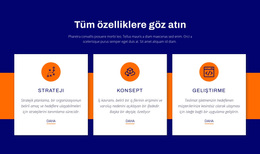 Tüm Özelliklere Göz Atın - WordPress Temasını Kullanmaya Hazır