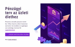 Webhely Kialakítása A(Z) Pénzügyi Terv Az Üzleti Élethez Számára