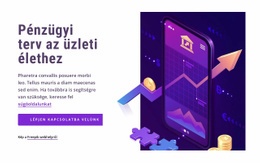 Pénzügyi Terv Az Üzleti Élethez – Többcélú WooCommerce Téma