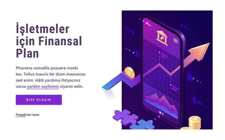 İş için finansal plan Html Web Sitesi Oluşturucu