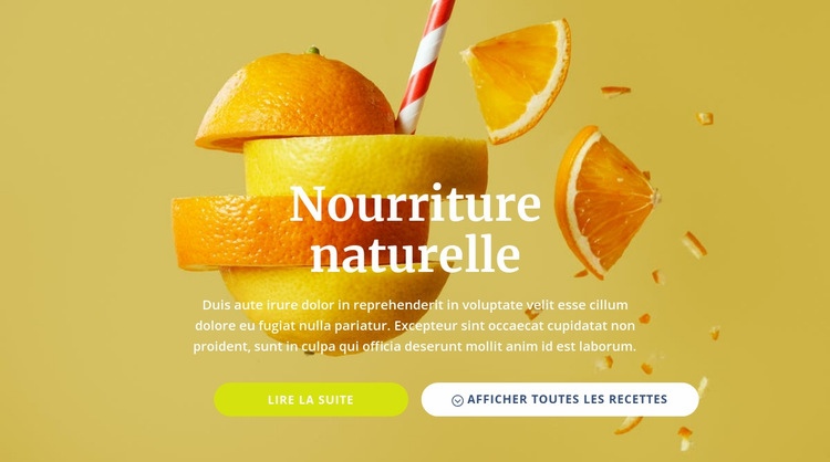 Jus et aliments naturels Conception de site Web