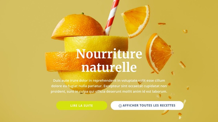 Jus et aliments naturels Créateur de site Web HTML