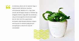Otthoni Növények Gondozása - HTML Oldalsablon