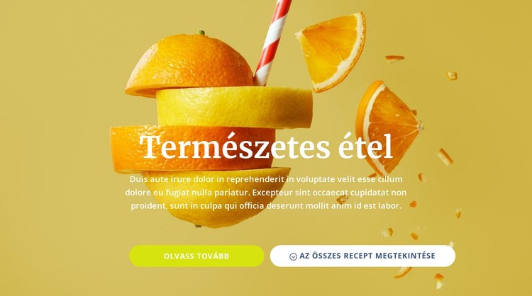 Természetes gyümölcslevek és ételek WordPress Téma