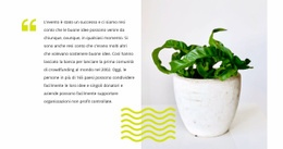 Cura Delle Piante Domestiche - HTML Website Builder