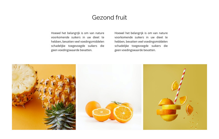 Galerij met natuurvoeding HTML-sjabloon