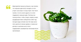 Уход За Домашними Растениями - HTML Website Builder