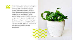 Ev Bitkileri Bakımı - Açılış Sayfası