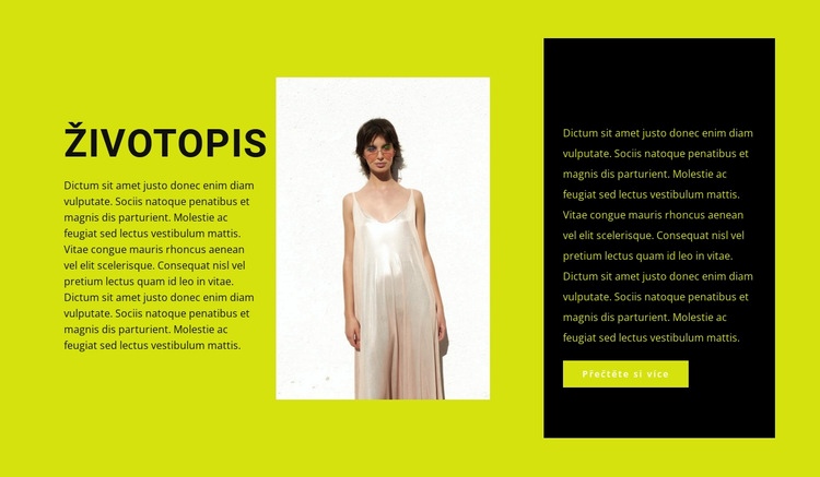 Ambiciózní návrhář oděvů Šablona webové stránky