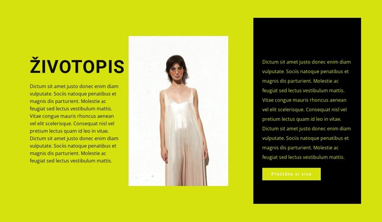 Ambiciózní návrhář oděvů Webový design