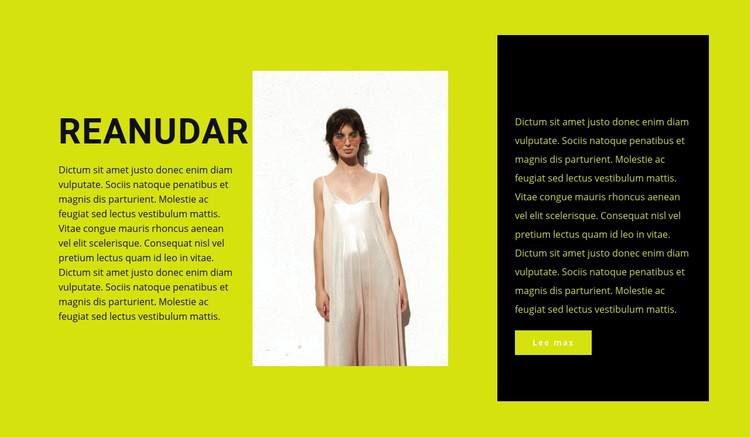 Aspirante a diseñador de ropa Maqueta de sitio web