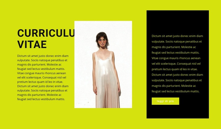 Aspirante stilista di abbigliamento Costruttore di siti web HTML