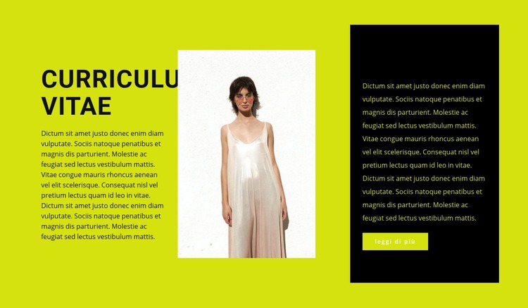 Aspirante stilista di abbigliamento Mockup del sito web