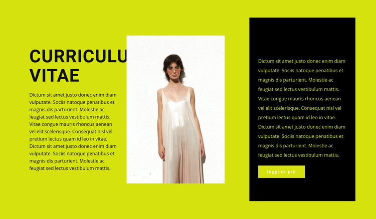 Aspirante stilista di abbigliamento Modello di sito Web