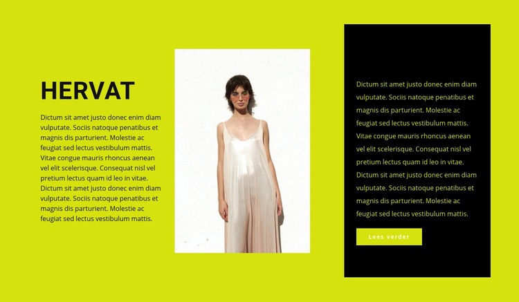 Aspirant kledingontwerper Html Website Builder