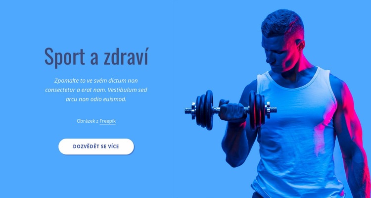 Sport a zdraví Téma WordPress