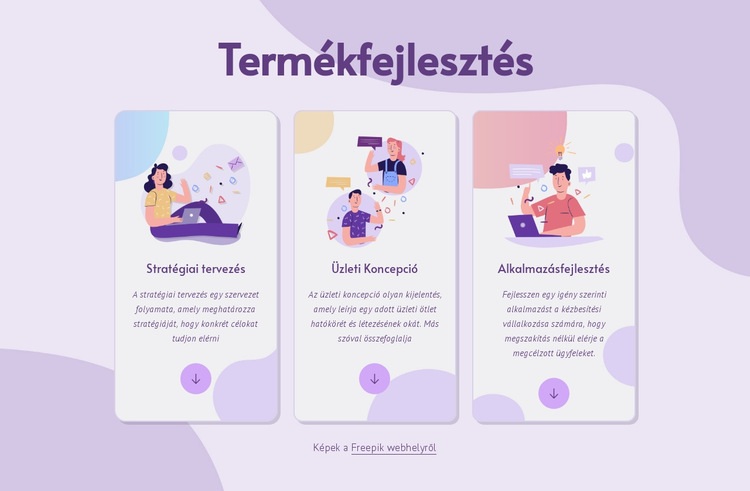 Termékfejlesztés WordPress Téma