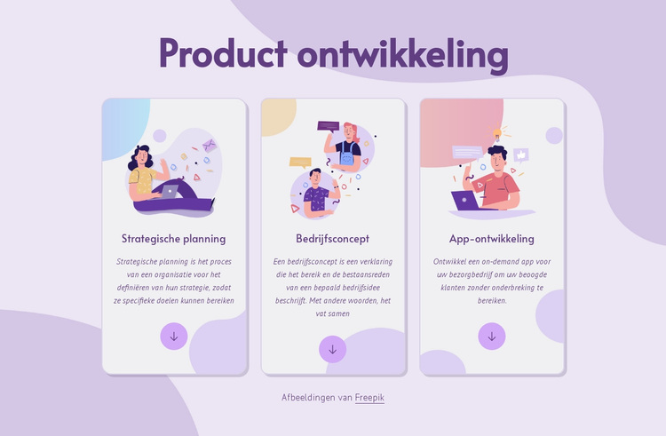 Product ontwikkeling WordPress-thema