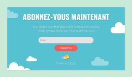 Inspiration De Site Web Pour Bloc Formulaire D'Abonnement