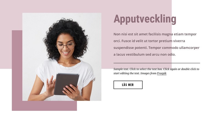 Anpassad mjukvaruutveckling CSS -mall