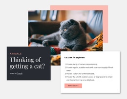 Obecná Péče O Kočky - HTML Web Page Builder