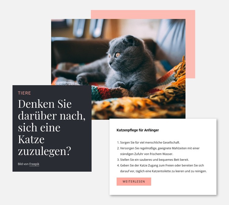Allgemeine Katzenpflege CSS-Vorlage