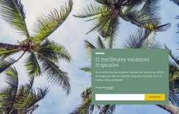 Superbe Conception Web Pour Vacances Tropicales