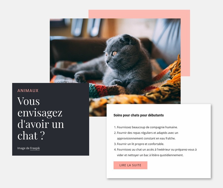 Soins généraux des chats Créateur de site Web HTML