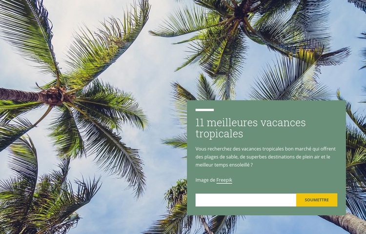 Vacances tropicales Maquette de site Web