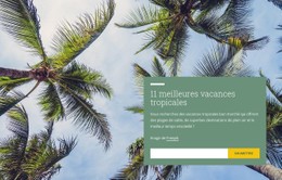 Vacances Tropicales Modèle CSS Gratuit