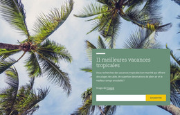 Vacances Tropicales - Modèle HTML Réactif