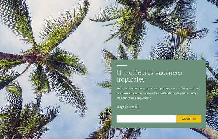 Vacances tropicales Modèle HTML5