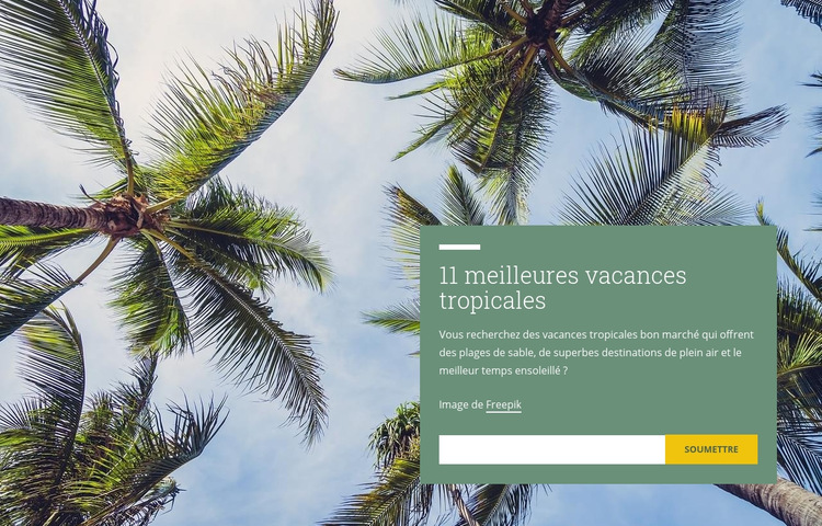 Vacances tropicales Modèle de site Web