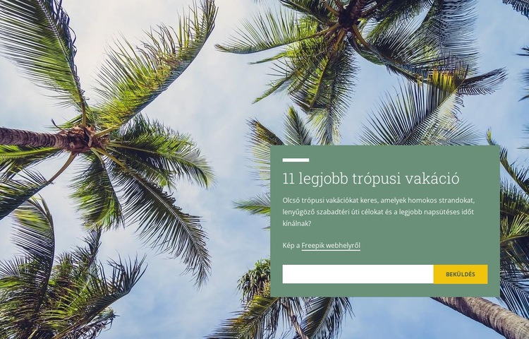 Trópusi vakáció Weboldal tervezés