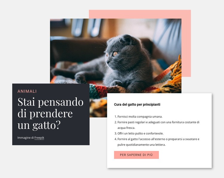 Cura generale del gatto Costruttore di siti web HTML