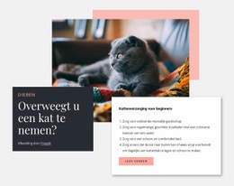 Algemene Kattenverzorging