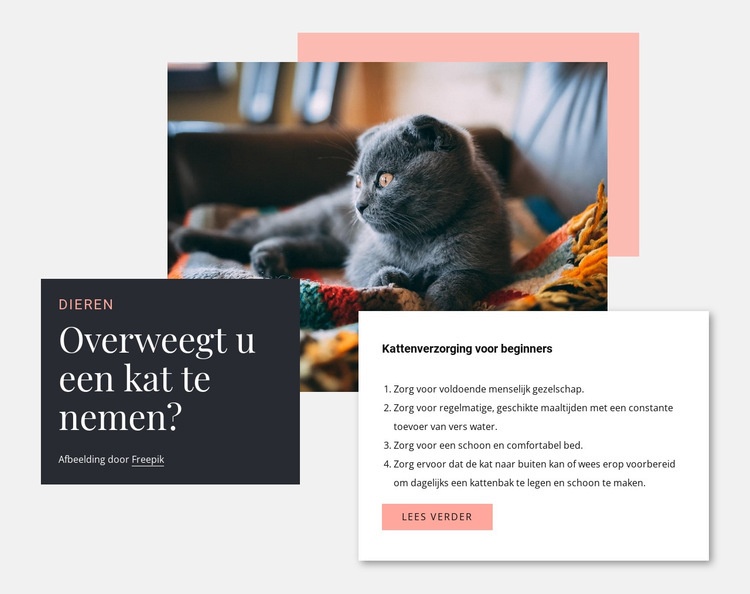 Algemene kattenverzorging Sjabloon voor één pagina