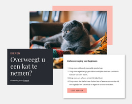 Algemene Kattenverzorging - Prachtig WordPress-Thema