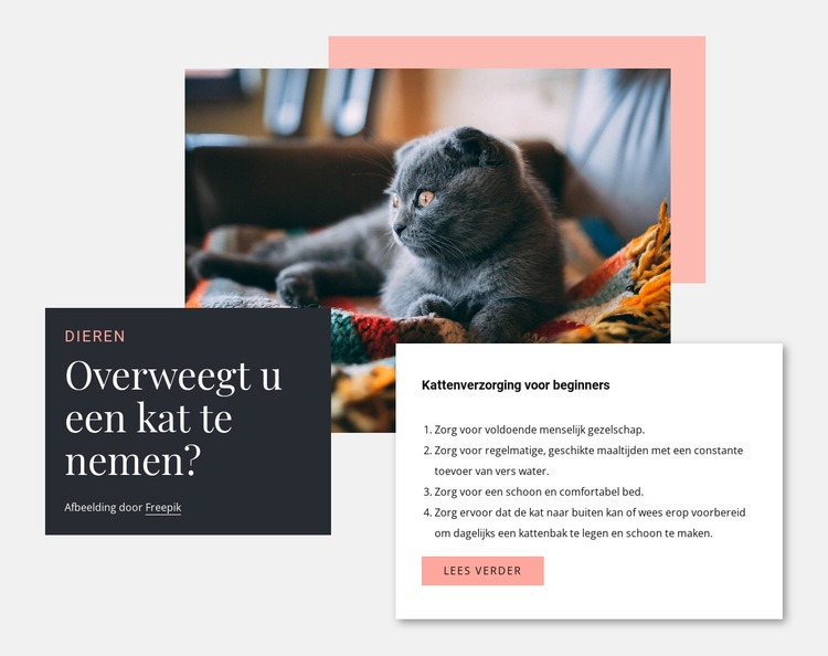 Algemene kattenverzorging Website ontwerp