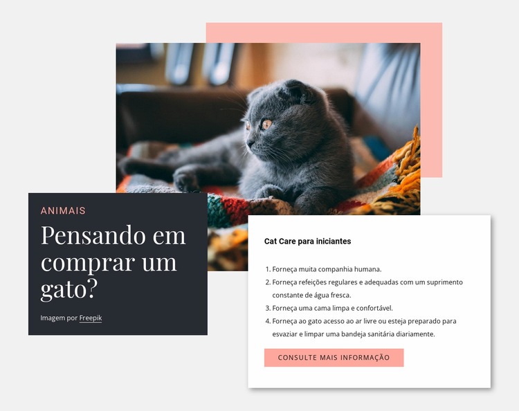 Cuidados gerais com gatos Construtor de sites HTML