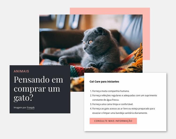 Cuidados gerais com gatos Maquete do site